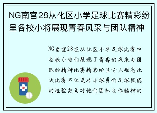 NG南宫28从化区小学足球比赛精彩纷呈各校小将展现青春风采与团队精神
